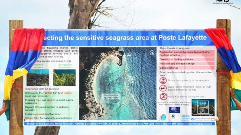 World Seagrass Day 2023: Information boards unveiled to sensitise public on the importance of seagrass