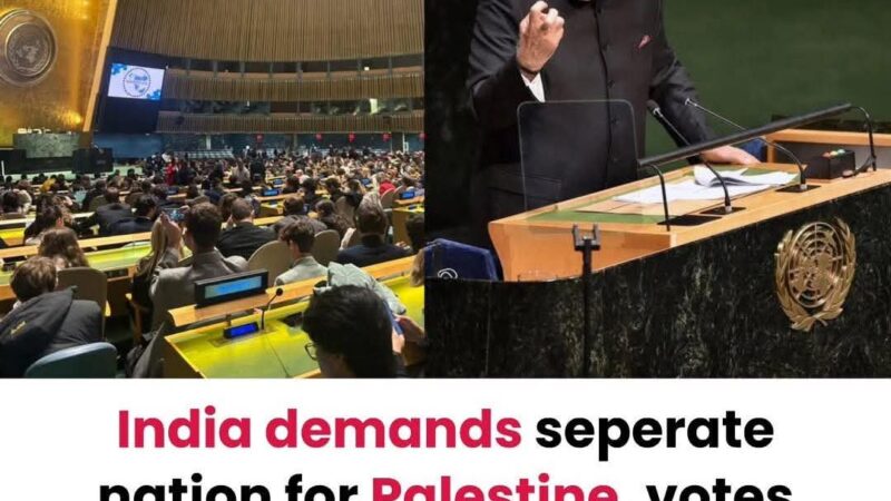 India votes Palestine