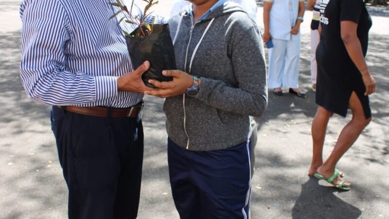Dr Farhad distributed medicinal plants